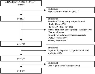 Associations of phthalates with NAFLD and liver fibrosis: A nationally representative cross-sectional study from NHANES 2017 to 2018